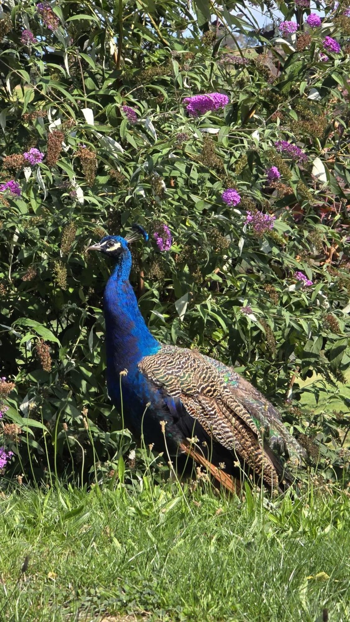 فندق Le Domaine De La Plume La Gimond المظهر الخارجي الصورة